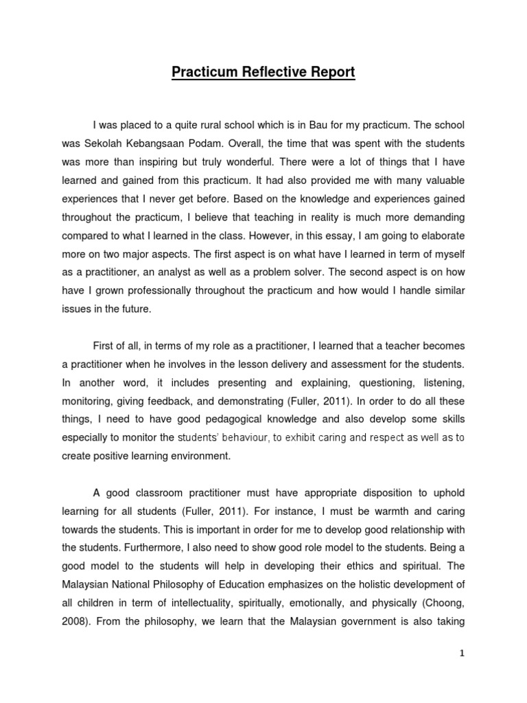 Reflective Practicum Report Insights | PDF | Learning | Curriculum