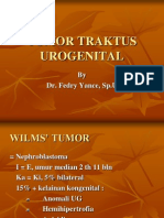 Tumor Tractus Urogenital