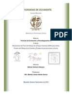 Evaluación psicológica niños DFH