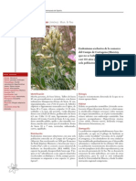 Ficha Astragalus nitidiflorus