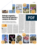 Paisaje Vegetal Flora Sierras Campos Murcia