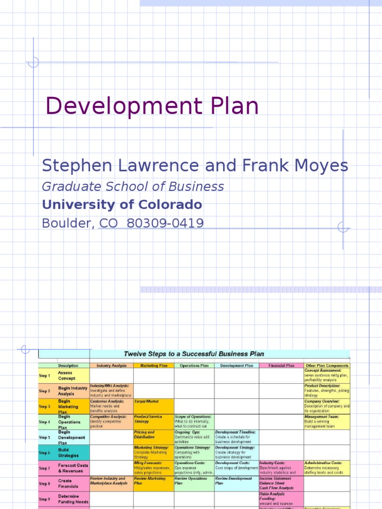 Development Plan Overview and Strategy | PDF | Business | Finance ...