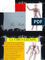 Exp Fisiocirculat