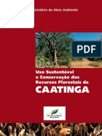 Web Uso Sustentvel e Conservao Dos Recursos Florestais Da Caatinga 95