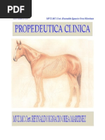 Anatomía del Riñón y Pelvis Renal en Perros | PDF | Riñón | Abdomen
