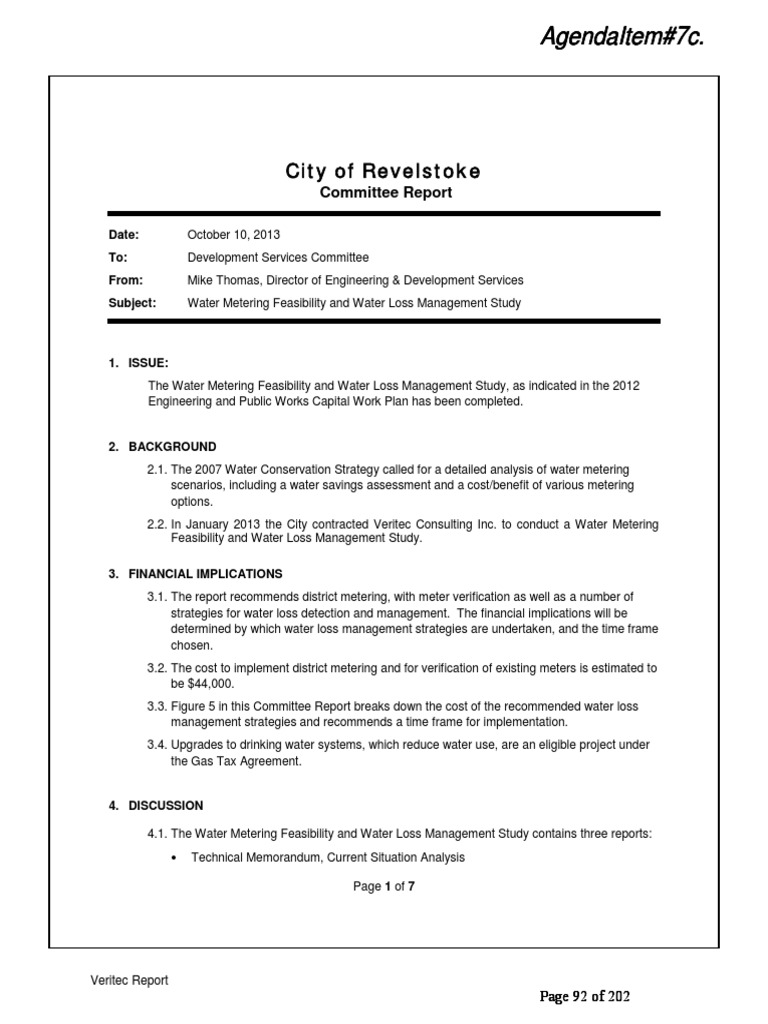 Veritec Water Metering Report PDF | PDF | Net Present Value | Computer ...