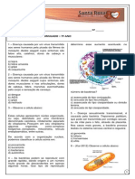 7ano simulado.pdf