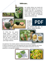 Nota Curiosa Alimentos