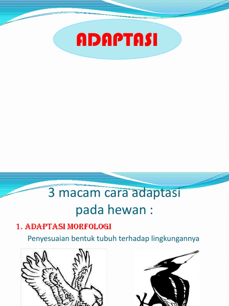 Adaptasi Hewan Pdf