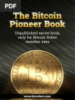 bitcoin_pioneer.pdf
