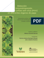 Detección Por Inmunoimpresión de Potato Yellow Vein Virus (PYVV) en Diferentes Órganos de Papa