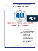 QTRR - Chien Luoc Phong Ngua Rui Ro Quyen Chon PDF