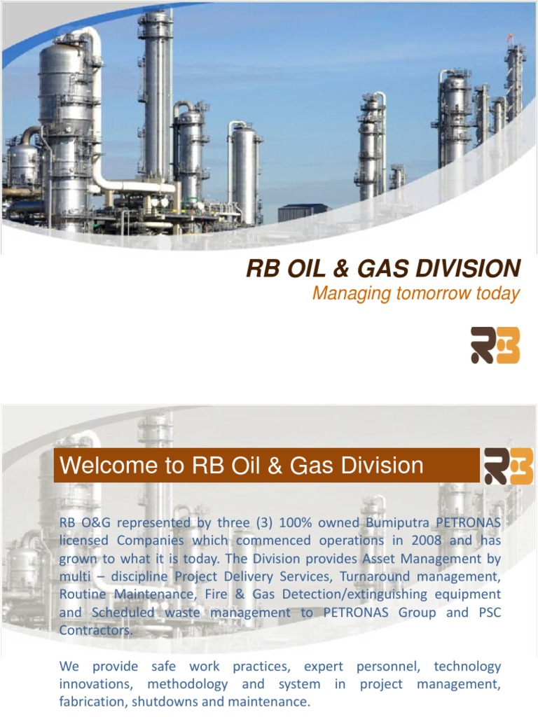 RB Solutions | PDF | Project Management | Business