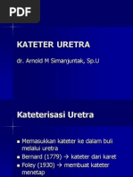 Download KATETER uretrappt by not_a_geek SN181969809 doc pdf