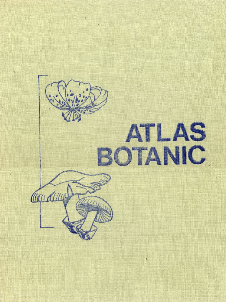 Atlas Botanic PDF | PDF