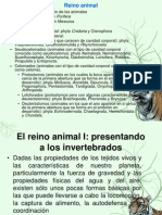 El Reino Animal