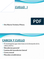 Formación de la cabeza y el cuello I: origen del mesénquima y desarrollo de los arcos faríngeos