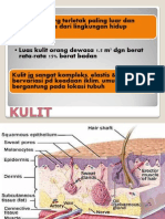 anatomi kulit winda.ppt