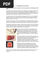 A HEMATOPOESE - A FORMAÇÃO DO SANGUE