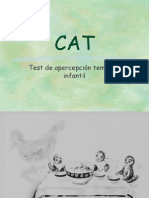Láminas CAT