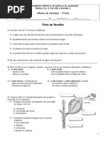 FICHA PLANTAS REVISÕES