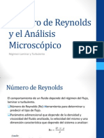 Número de Reynolds y El Análisis Microscópico - Lab.Int1