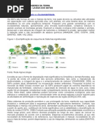 Sistemas Agro Florestais