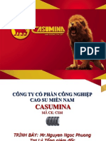 CASUMINA PROFILE 2013 - For Finance (VN) - Version 1 PDF