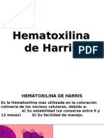 50891863 Hematoxilina de Harris