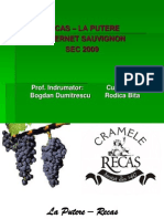 Prezentare Ppt. Recas-La Putere, Cabernet Sauvignon