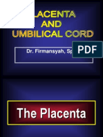 Placenta Umbilical Cord