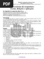 Microssistemas da Acupuntura- Teorias, Relações e Aplicações