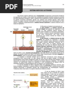 12_sistema_nervoso_autonomo