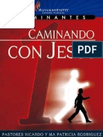 Caminante 1