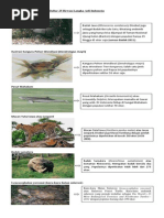 Download 25 Hewan Langka Indonesia by Jamie Fox SN182154611 doc pdf