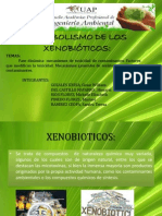 Metabolismo de Los Xenobióticos