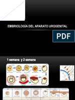 Anato, Embrio y Fisio Del Aparato Reproductor Femenino