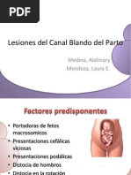 Lesiones Del Canal Blando Del Parto