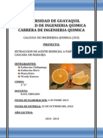 Extraccion de Aceite Esencial de Naranja