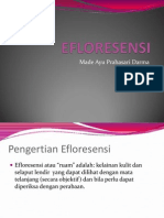 Efloresensi