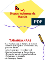 gruposindigenasdemexico-091215220727-phpapp02 (2)