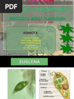 Protista Mirip Tumbuhan