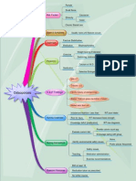 Osteoporosis Map