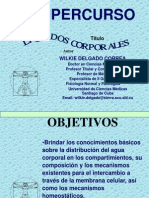 2.supercurso__liquidos_corporales