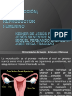 Aparato Reproductor Femenino-Expòsicion