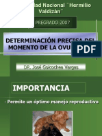 Citologia Vaginal 2007