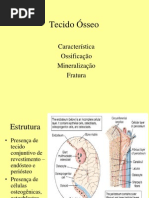 Aula 2. Tecido Ósseo
