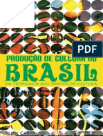 Producao de Cultura No Brasil PDF