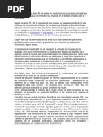 Revista Definitiva-1 PDF | PDF | Feminismo | Estudios de género