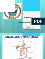 Aparato Gastrointestinal